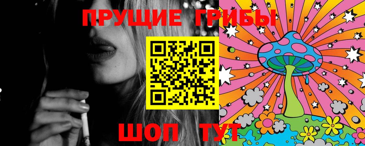 Галлюциногенные грибы Psilocybe  Вход с VPN  Галлюциногенные грибы ЛСД  Гай 