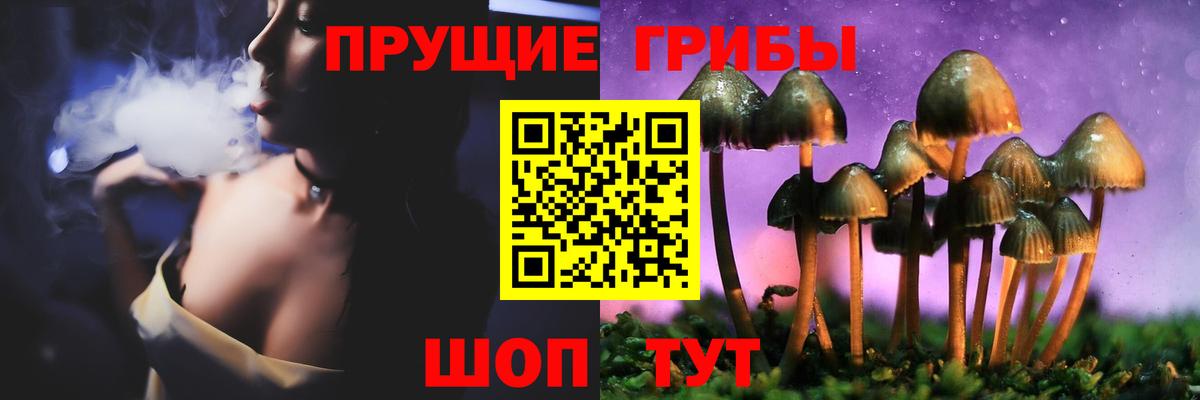 Псилоцибиновые грибы прущие грибы Гай